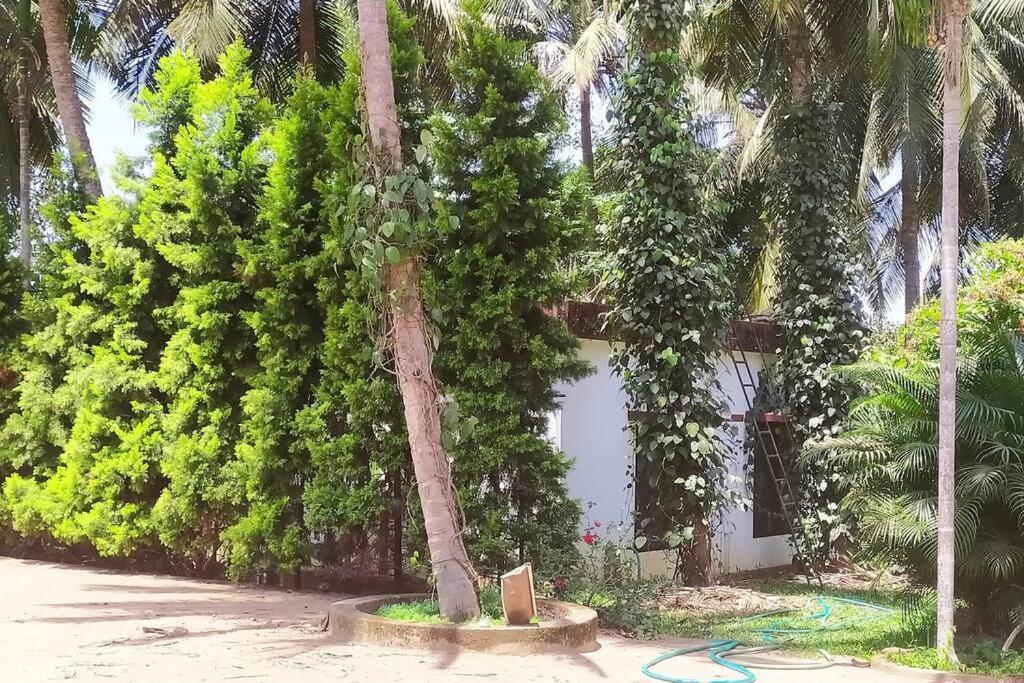 Runnin Airport - Homestay Gurpur Zewnętrze zdjęcie